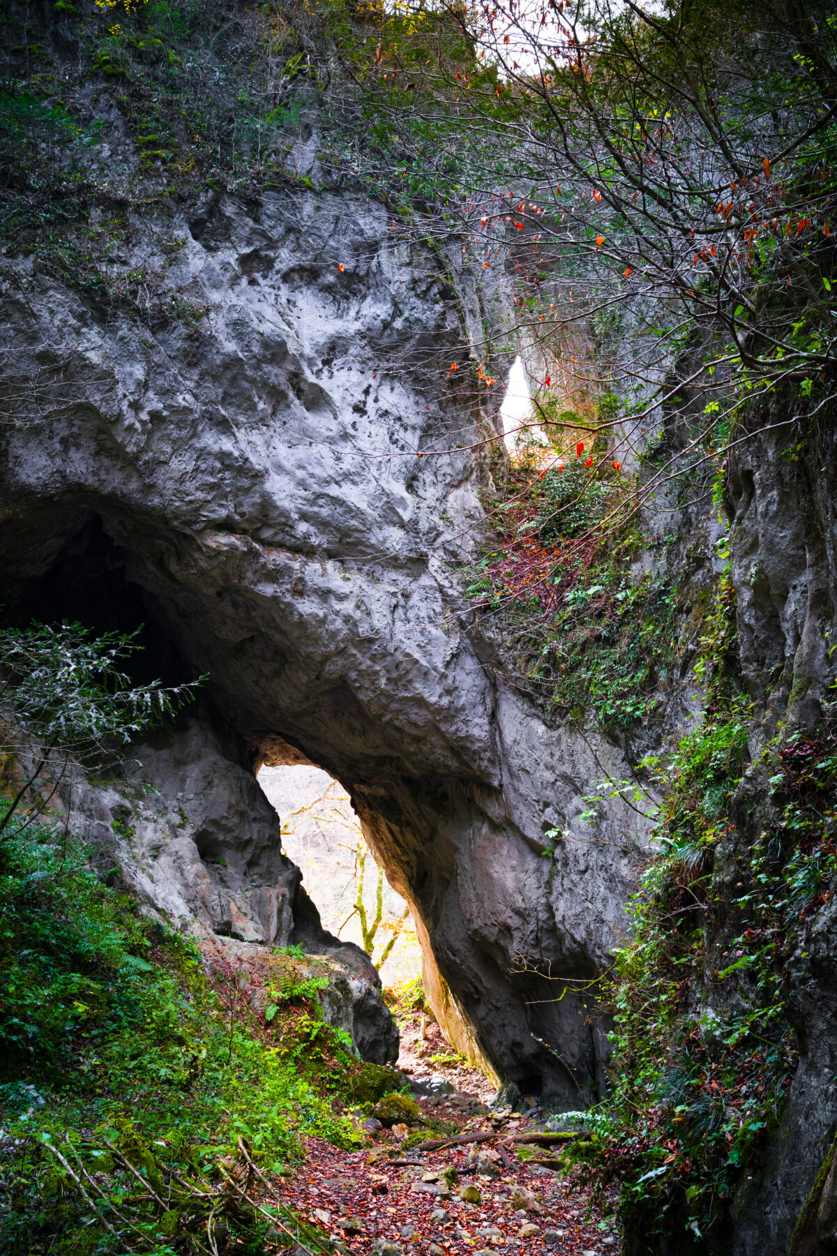 帝釈峡 唐門（広島県）