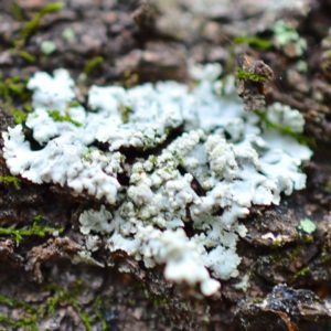 全記事タイトル一覧