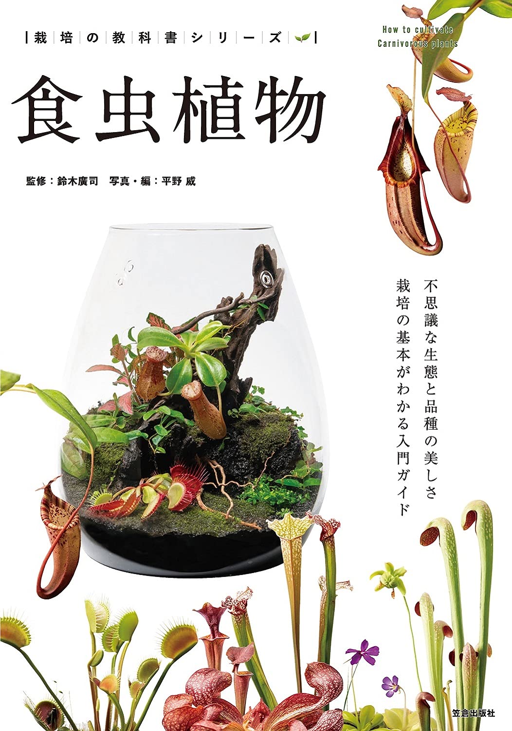 How to cultivate carnivorous plants