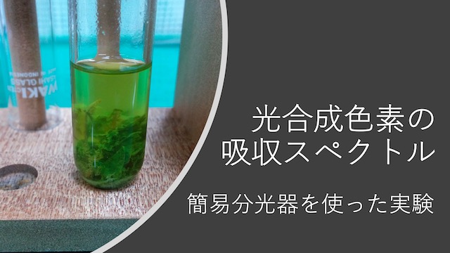 高校生物 光合成色素の吸収スペクトル 簡易分光器を使った実験 地学博士のサイエンス教室 グラニット