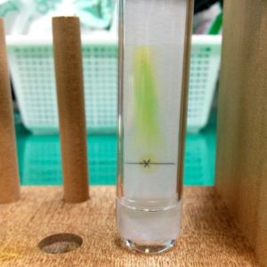 【高校生物】光合成色素の吸収スペクトル：簡易分光器を使った実験