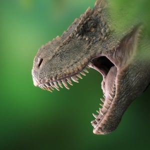 ゴビ砂漠で見つかった大型恐竜の化石たち