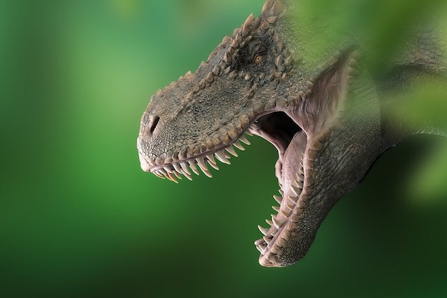ゴビ砂漠で見つかった大型恐竜の化石たち