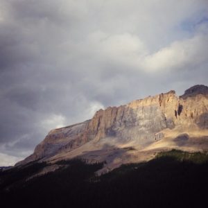 5つの目玉と頭から伸びるホースのような腕：奇妙な絶滅生物オパビニア