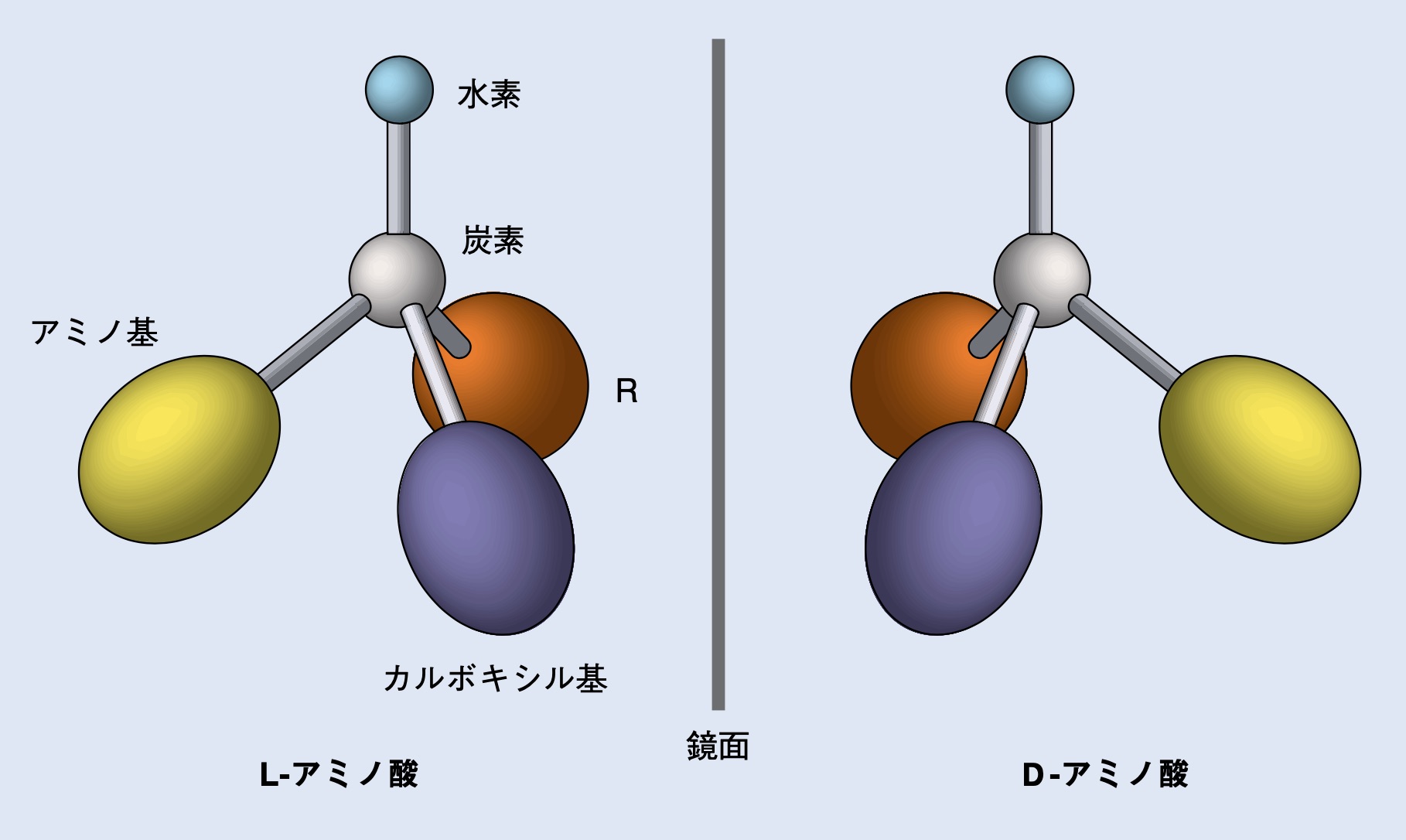 アミノ酸の光学異性体（鏡像異性体）