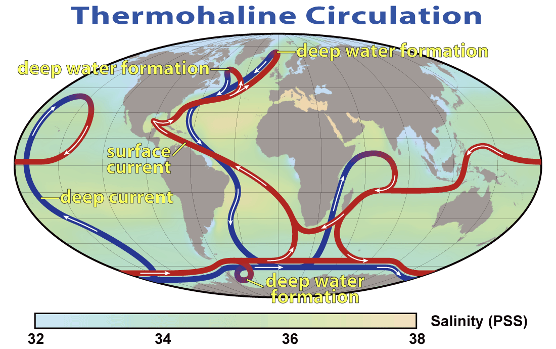深層大循環（熱塩循環）の模式図