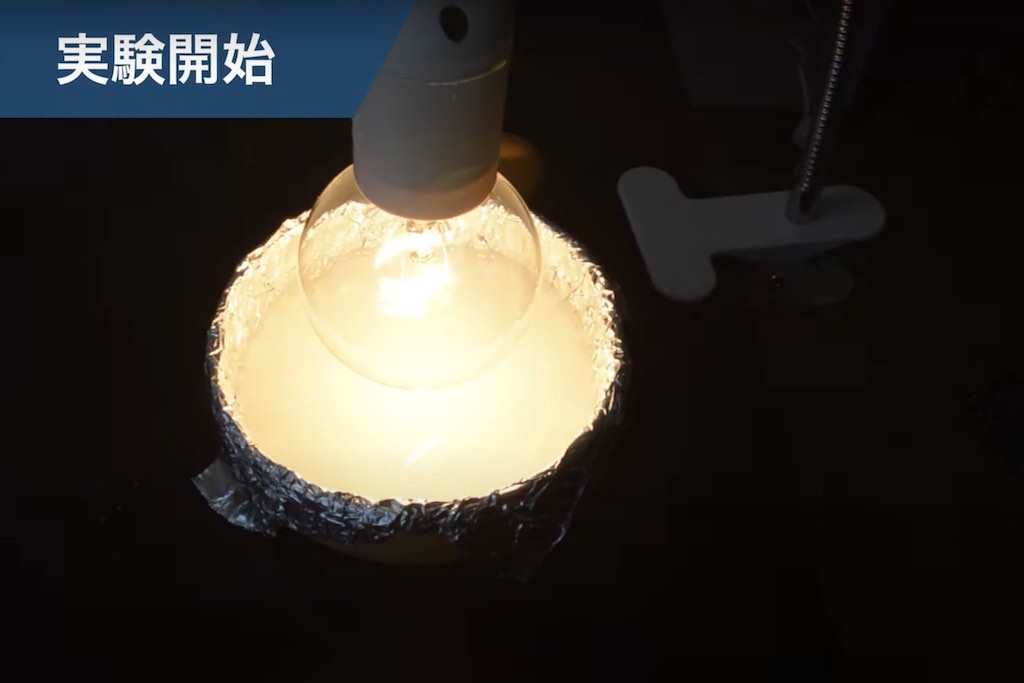白熱電球を真上から照らし、6〜8時間放置します。
