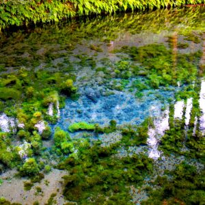 色鮮やかな虹色の熱水泉。グランド・プリズマティック・スプリング