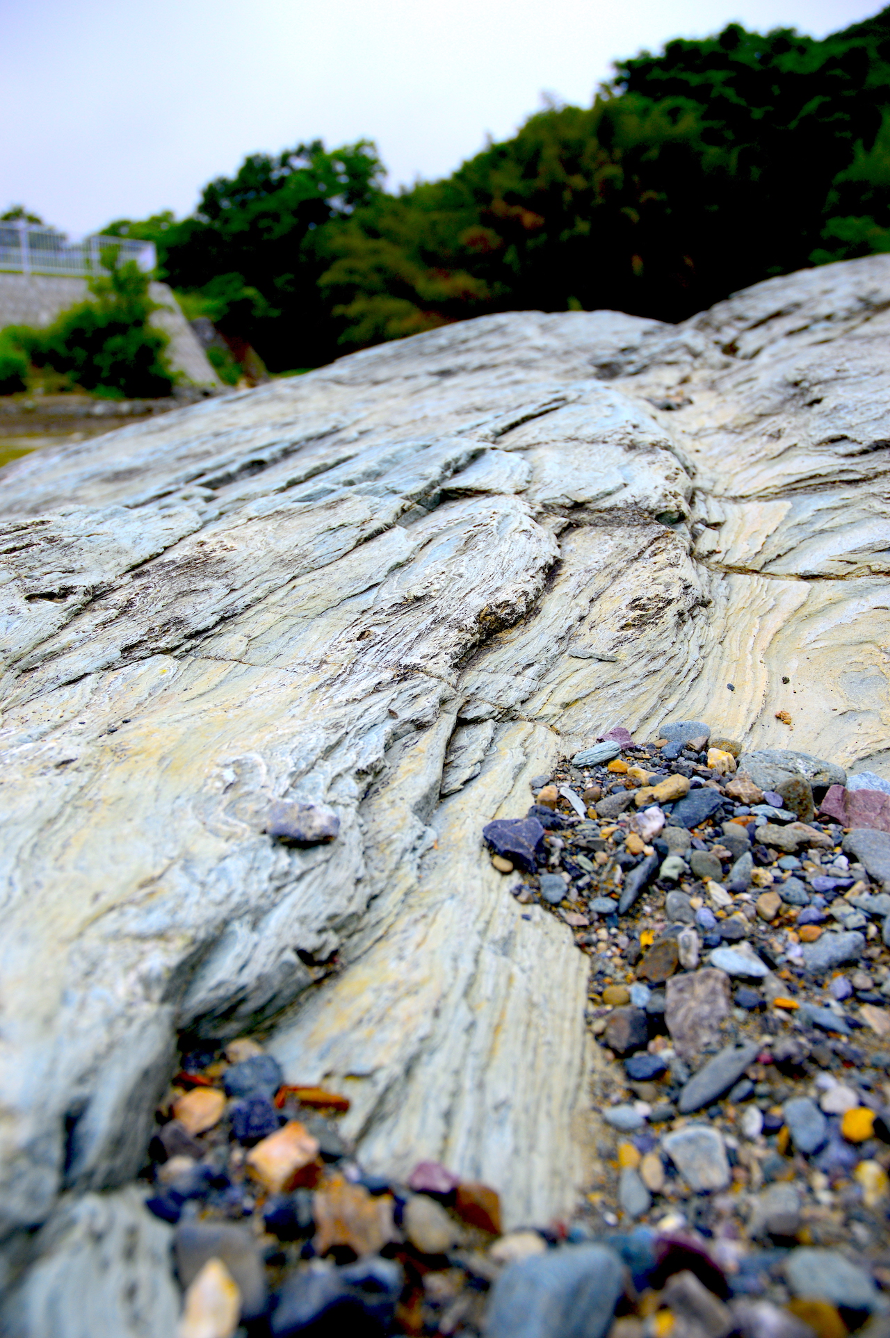 都幾川の結晶片岩 Crystalline Schist, Tokigawa River（埼玉県ときがわ町／2020年撮影）