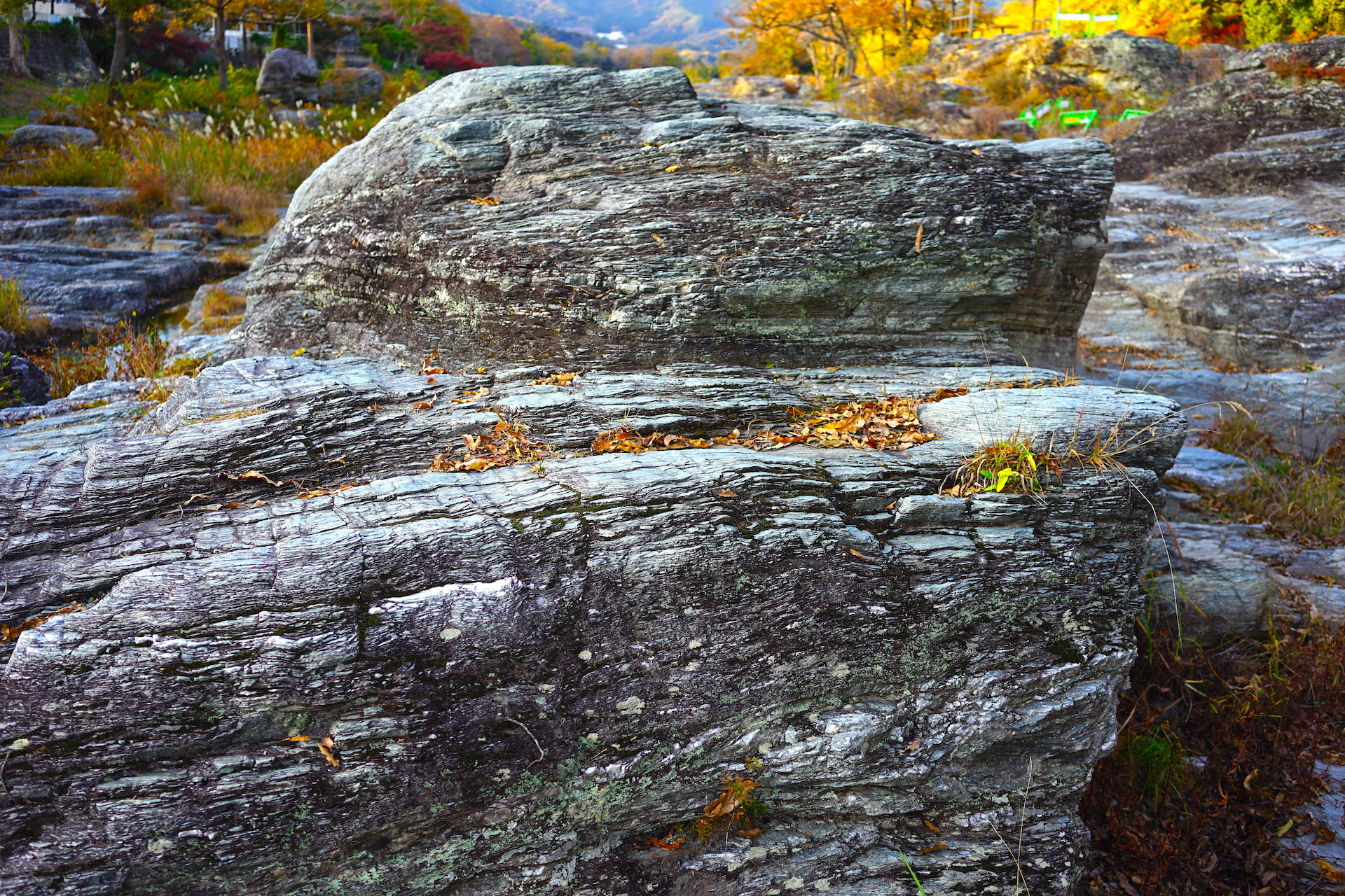 長瀞渓谷の緑色片岩 Greenschist, Nagatoro Valley, Chichibu, Saitama（埼玉県秩父郡長瀞町／2021年撮影）
