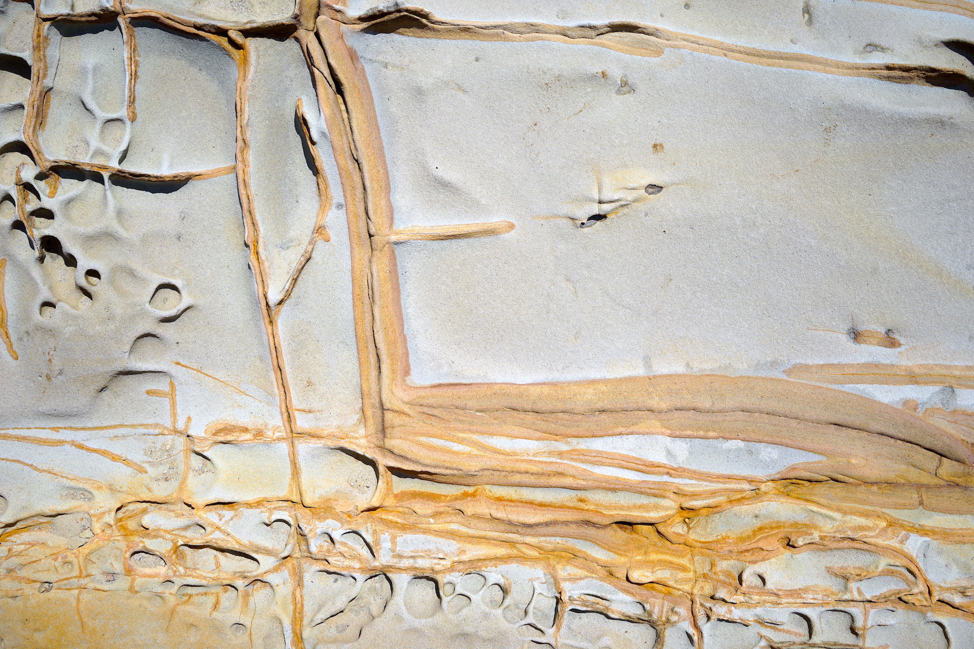 割れ目に沿って酸化鉄の沈澱が見られる犬吠埼の砂岩（千葉県銚子市／2021年撮影）