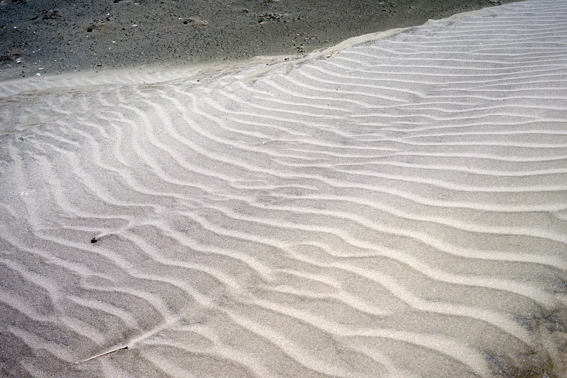 犬岩周辺の砂浜に見られる風紋（千葉県銚子市／2021年撮影）