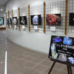 『驚異の標本箱—鉱物—』数量限定特典付き：Amazon 予約受付中／2025年3月19日発売、KADOKAWA