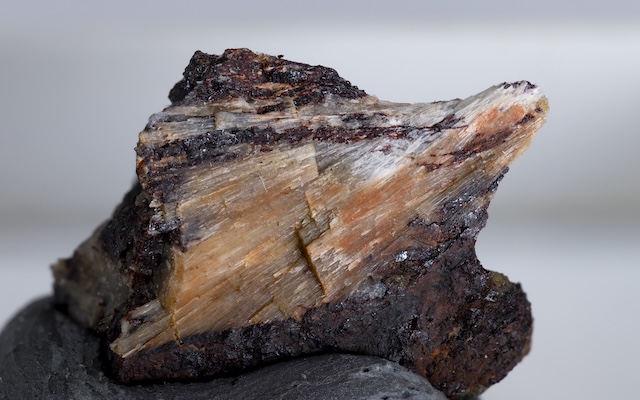 「元祖キラキラネーム！？」没後200年記念のモーツァルト石