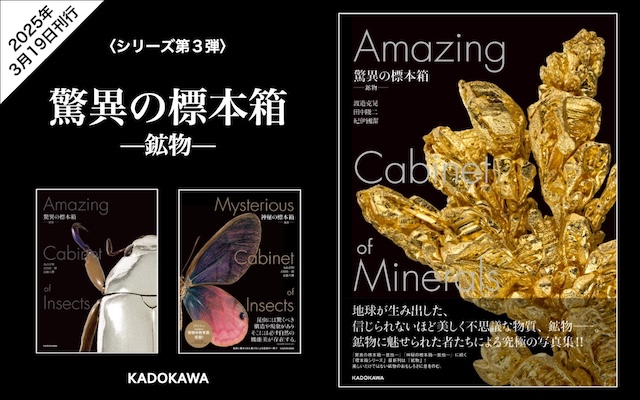 amazing-cabinet_lp-