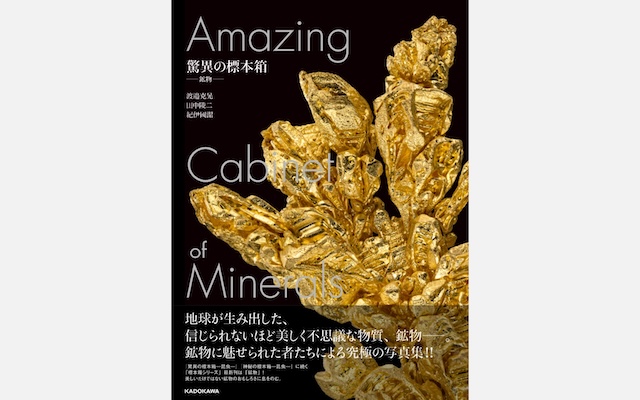 驚異の標本箱—鉱物—』渡邉克晃・田中陵二・紀伊國潔（2025年3月