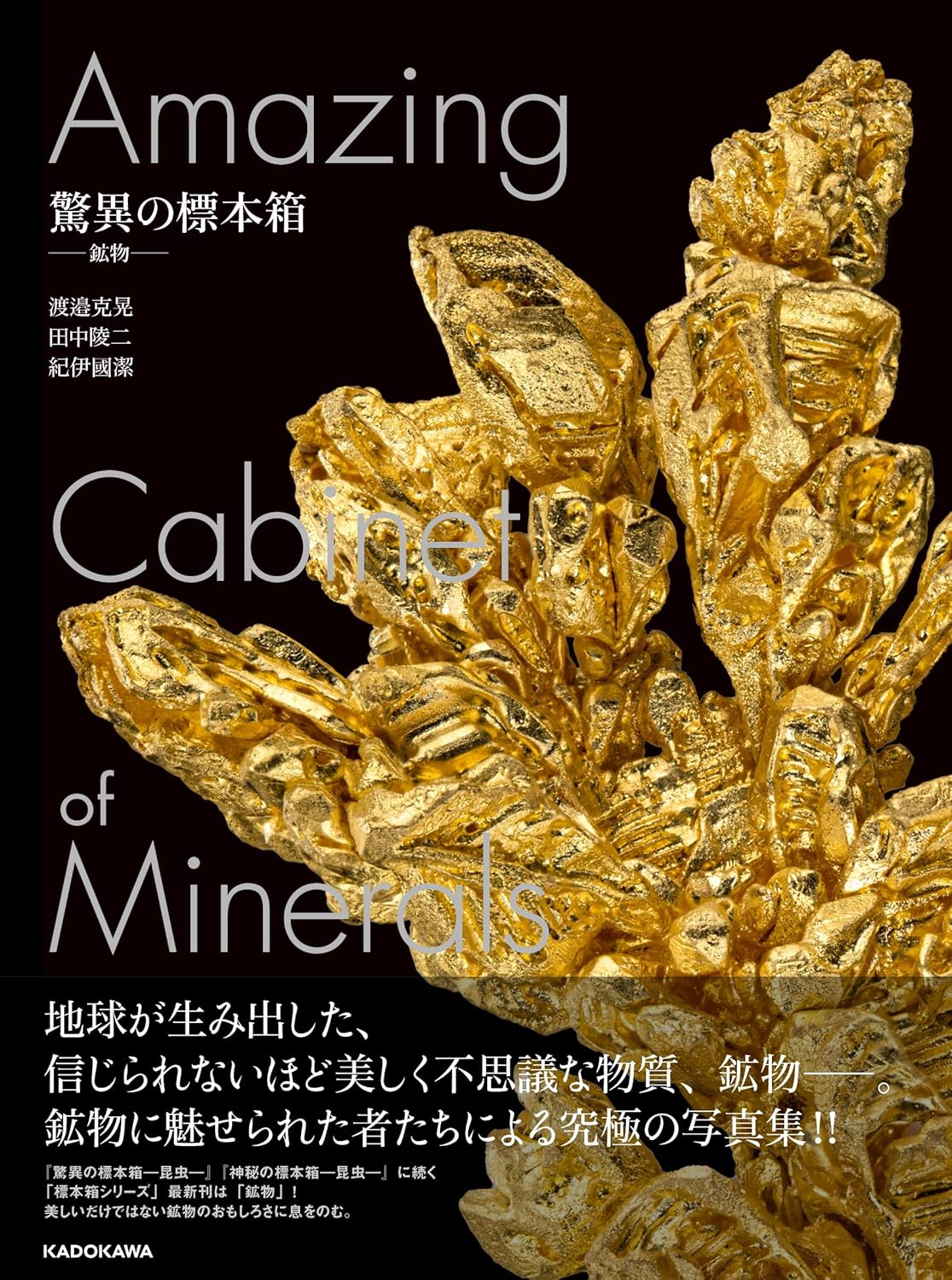 『驚異の標本箱—鉱物—』渡邉克晃・田中陵二・紀伊國潔（KADOKAWA，2025年）
